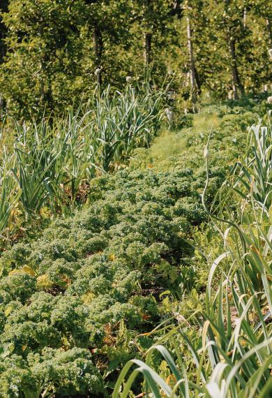 A matter close to our hearts A matter close to our hearts