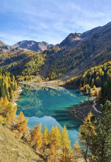 Autumn vibes! Autumn vibes!