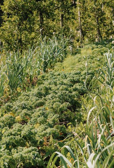 Unsere Herzensangelegenheit