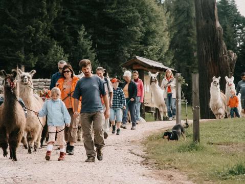 Bereit für Abenteuer & Adrenalin? Spaß garantiert!