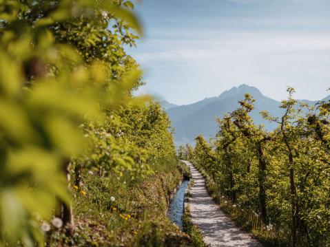 Gemütlich und aussichtsreich zu den schönsten Almen Gemütlich und aussichtsreich zu den schönsten Almen