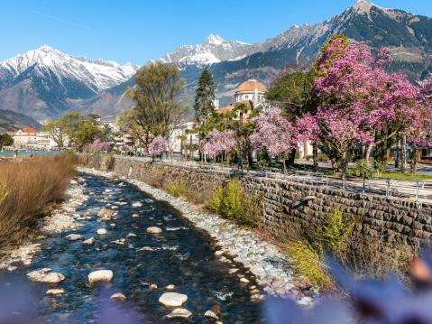 Höchste Qualität, versprochen!