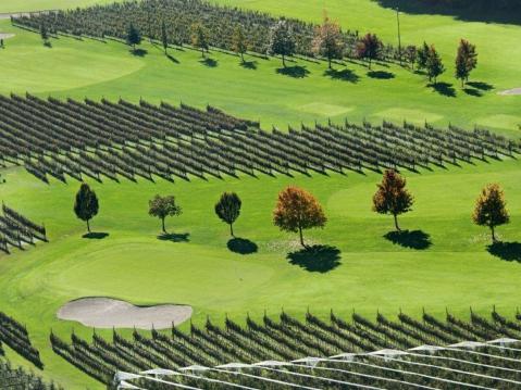 Unser Lieblingsplatz nahe unserer Kurstadt Meran!