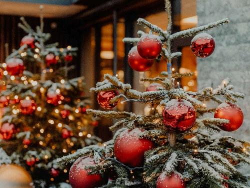 Pre-Christmas-Deal -25%