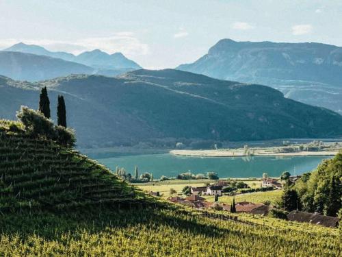 Wine Tasting Week im Frühling mit Hannes Piri -10%