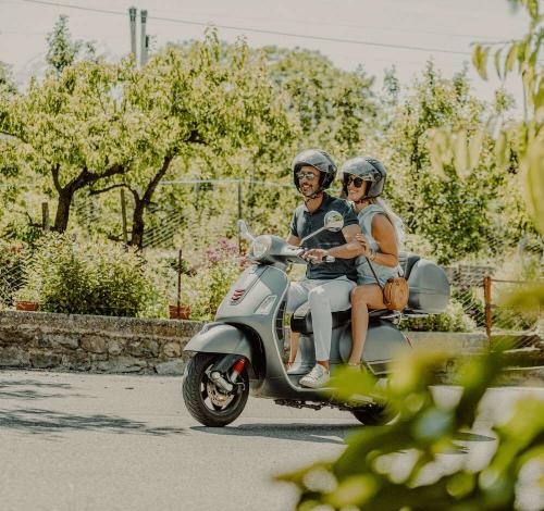 Ein wahres Highlight Ein wahres Highlight