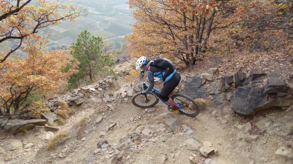 ..der Killer-Trail!