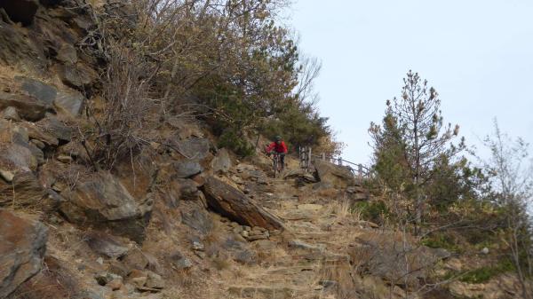 ..der Killer-Trail!