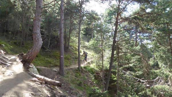 ...geil, geiler am geilsten die Trails von heute!