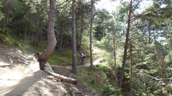 ...geil, geiler am geilsten die Trails von heute!