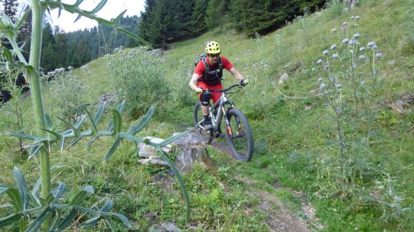 ...Goldsee- BimBam Trail!