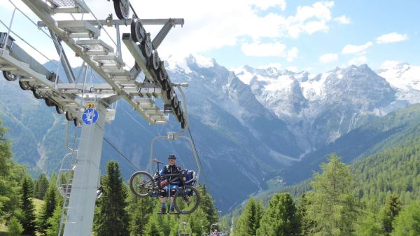 ...Goldsee- BimBam Trail!