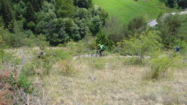 ...Goldsee- BimBam Trail!