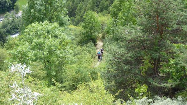 ...Goldsee- BimBam Trail!