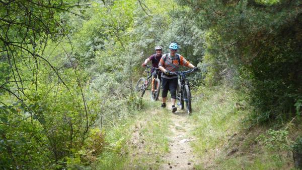...Goldsee- BimBam Trail!