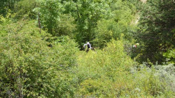 ...Goldsee- BimBam Trail!