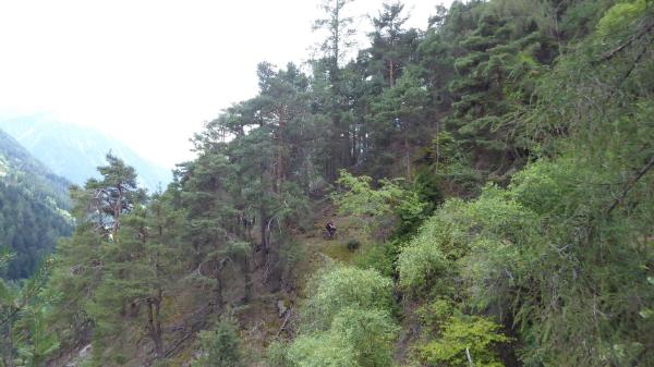 ...Goldsee- BimBam Trail!