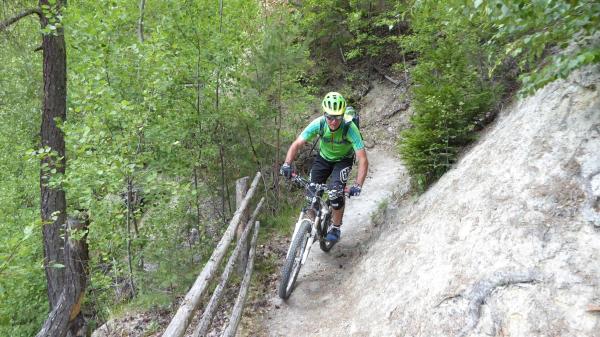 ...Goldsee- BimBam Trail!