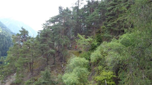 ...Goldsee- BimBam Trail!