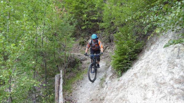 ...Goldsee- BimBam Trail!