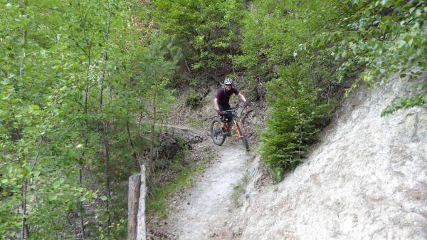 ...Goldsee- BimBam Trail!