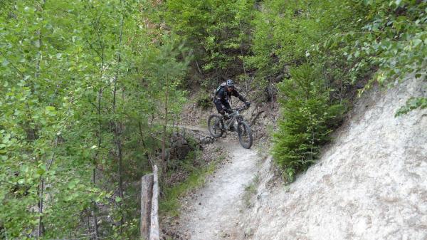 ...Goldsee- BimBam Trail!
