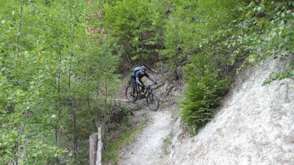 ...Goldsee- BimBam Trail!