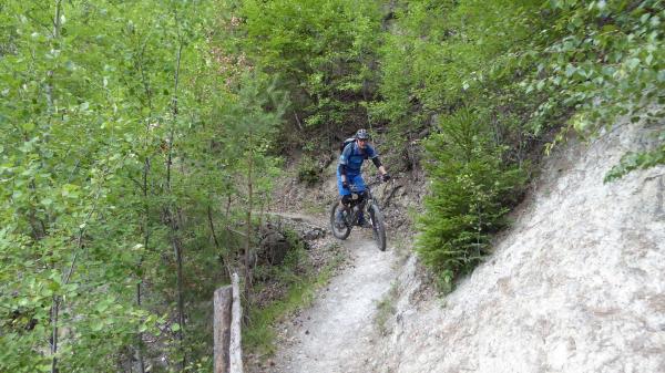 ...Goldsee- BimBam Trail!