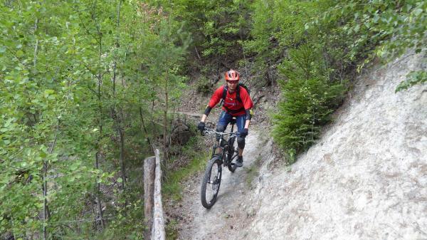 ...Goldsee- BimBam Trail!