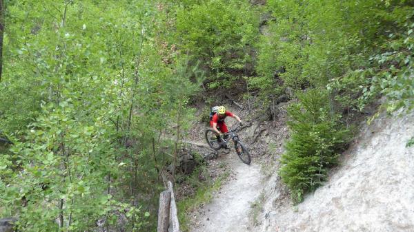 ...Goldsee- BimBam Trail!