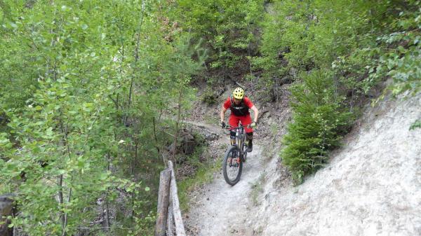 ...Goldsee- BimBam Trail!