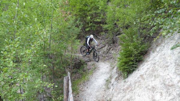 ...Goldsee- BimBam Trail!