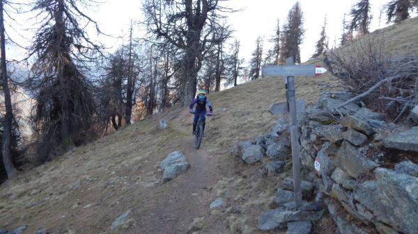 ...Goldseetrail im November!