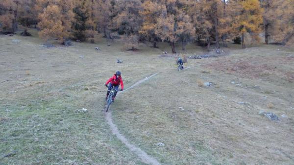 ...Goldseetrail im November!