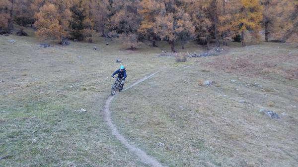 ...Goldseetrail im November!
