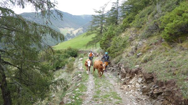 Kortscher Sonnenberg Tour