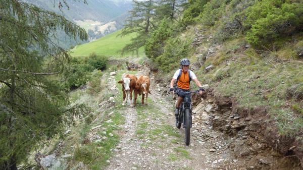 Kortscher Sonnenberg Tour