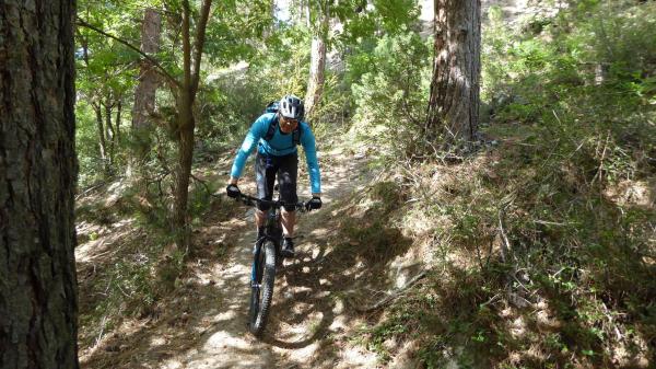 Tails, Trails, Trails...