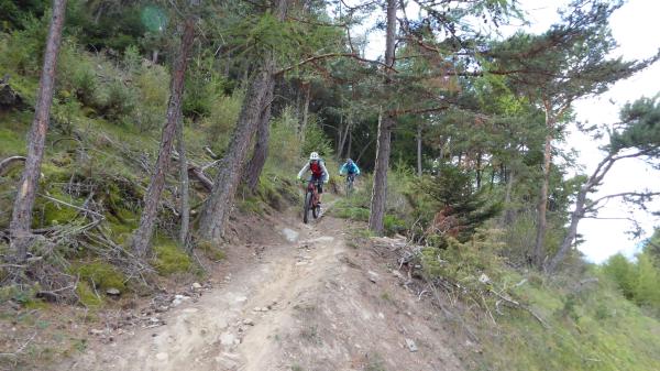 Tails, Trails, Trails...