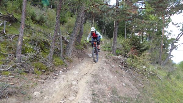 Tails, Trails, Trails...