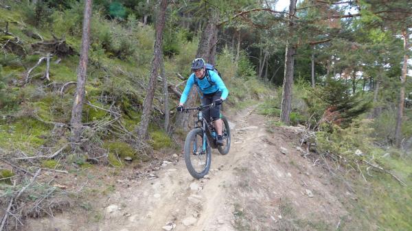 Tails, Trails, Trails...