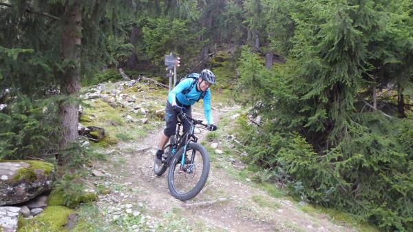 Tails, Trails, Trails...