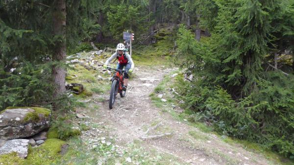 Tails, Trails, Trails...