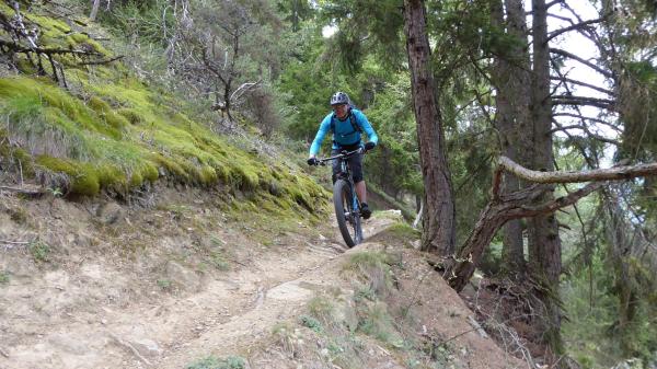 Tails, Trails, Trails...
