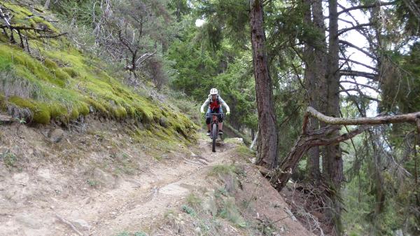 Tails, Trails, Trails...