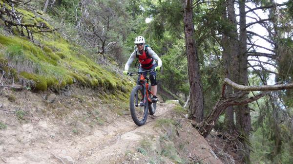 Tails, Trails, Trails...
