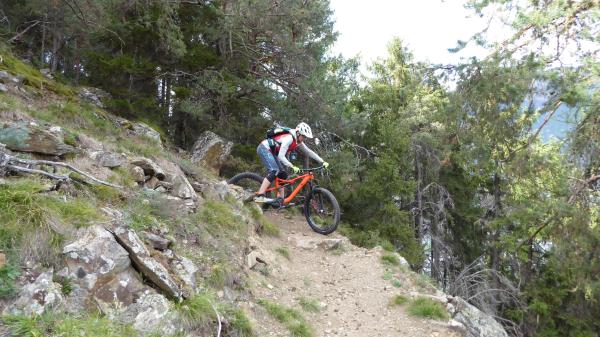Tails, Trails, Trails...