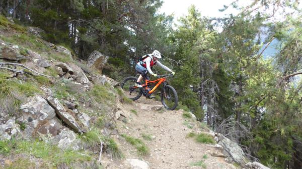Tails, Trails, Trails...