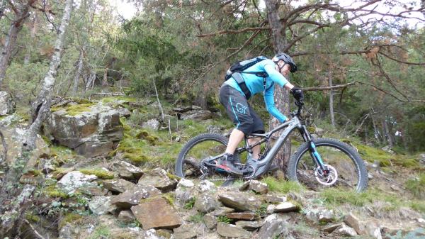 Tails, Trails, Trails...