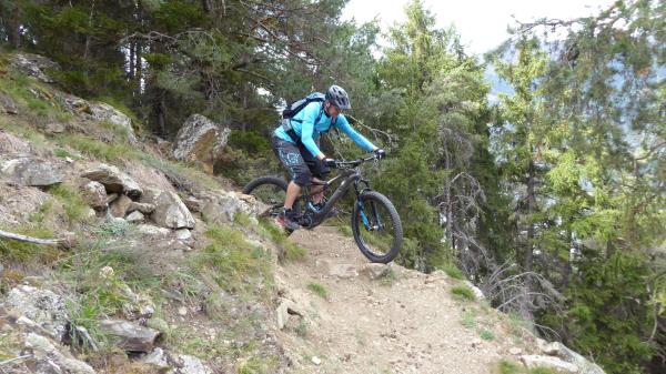 Tails, Trails, Trails...